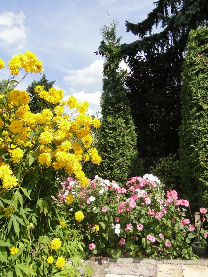 Sommerhaus Im Gruenen Berlin Luaran gambar